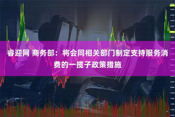 睿迎网 商务部：将会同相关部门制定支持服务消费的一揽子政策措施