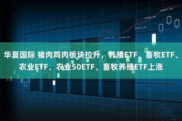 华夏国际 猪肉鸡肉板块拉升，养殖ETF、畜牧ETF、农业ETF、农业50ETF、畜牧养殖ETF上涨