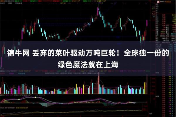 锦牛网 丢弃的菜叶驱动万吨巨轮！全球独一份的绿色魔法就在上海